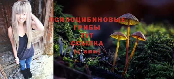 амф Навашино