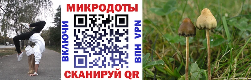 Галлюциногенные грибы мухоморы  купить наркотики сайты  Вилючинск 